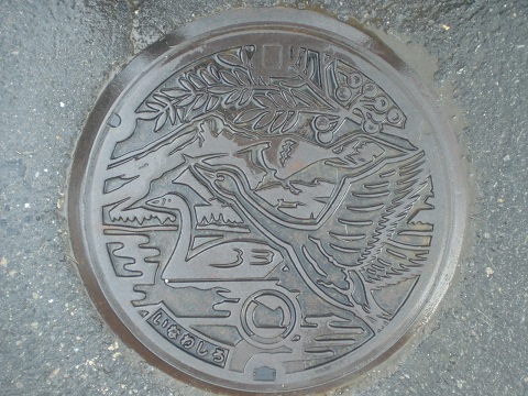 農集排蓋 農集排蓋