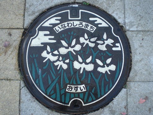 サギソウ蓋 サギソウ蓋