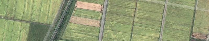 nouchi.jpg nouchi.jpg